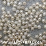 6476 potato pearl about 1.75-2mm.jpg